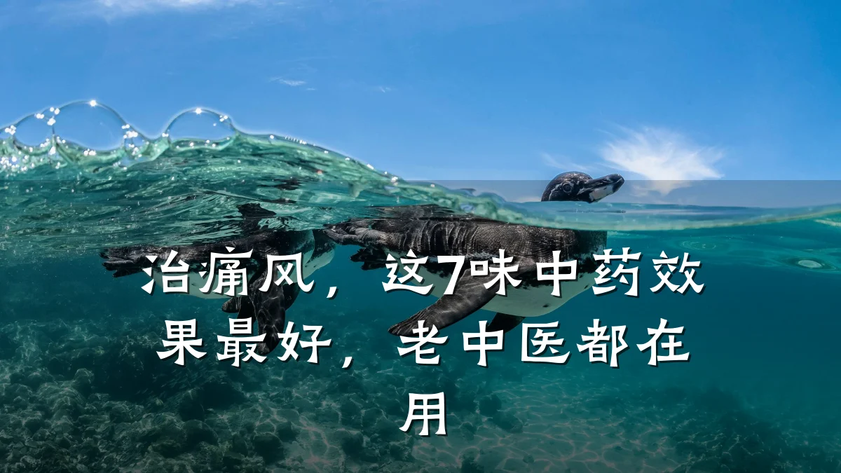治痛风,这7味中药效果最好,老中医都在用