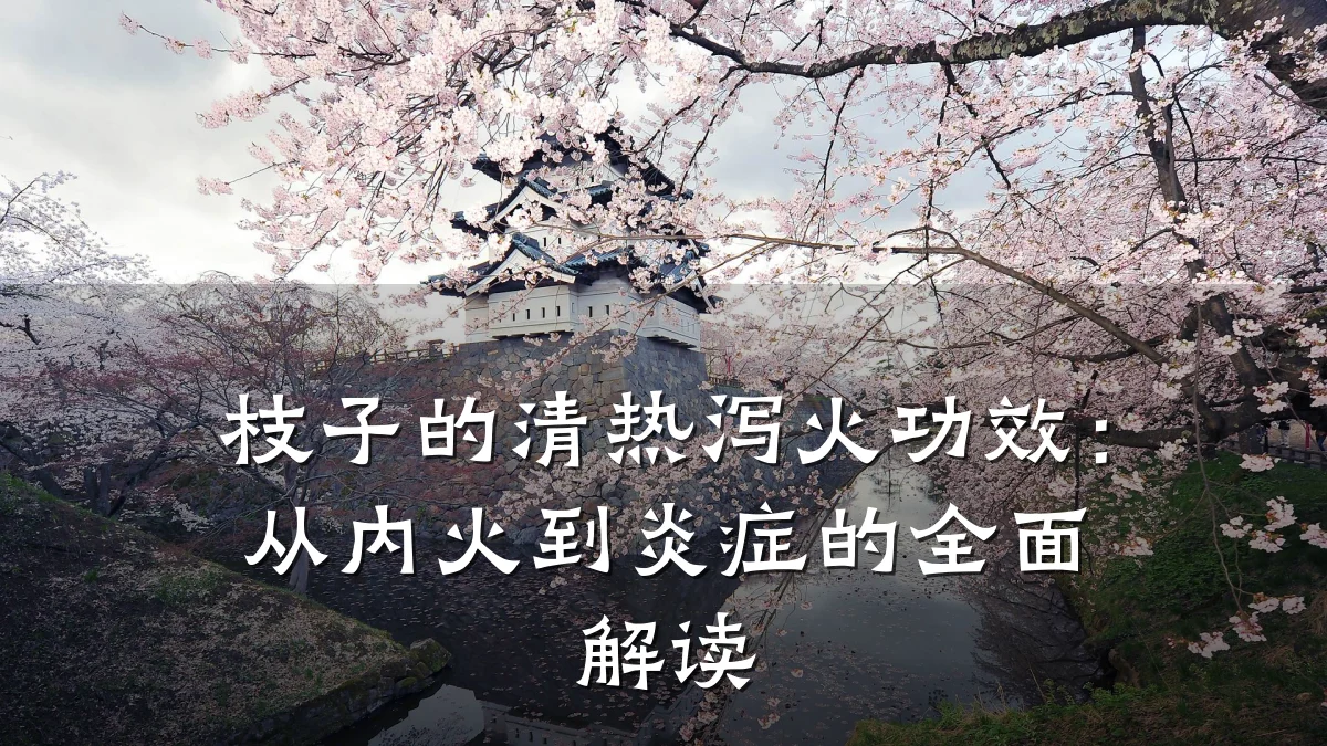枝子的清热泻火功效:从内火到炎症的全面解读
