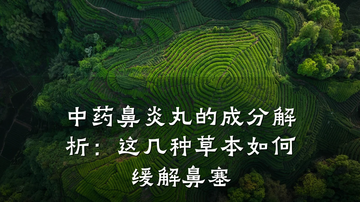 中药鼻炎丸的成分解析：这几种草本如何缓解鼻塞