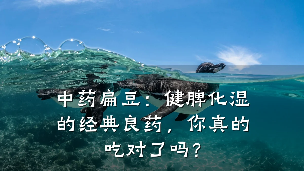 中药扁豆：健脾化湿的经典良药，你真的吃对了吗？
