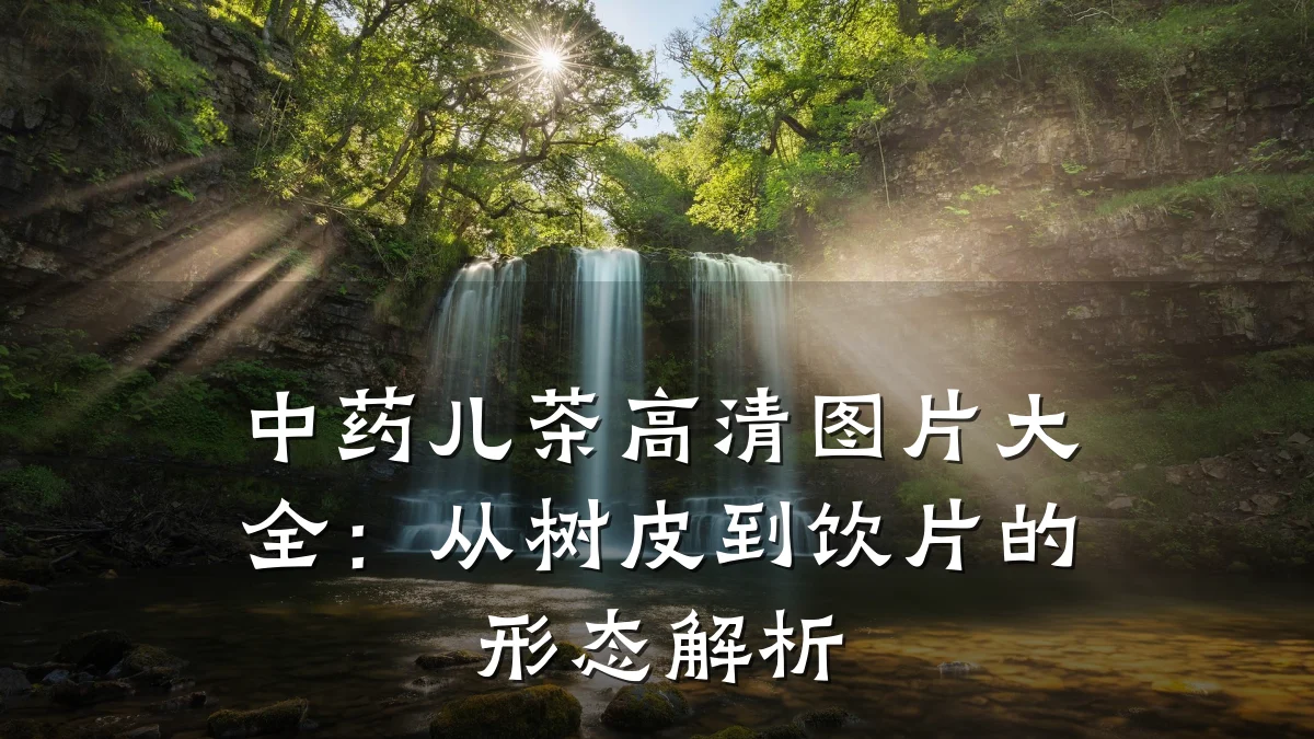 中药儿茶高清图片大全:从树皮到饮片的形态解析