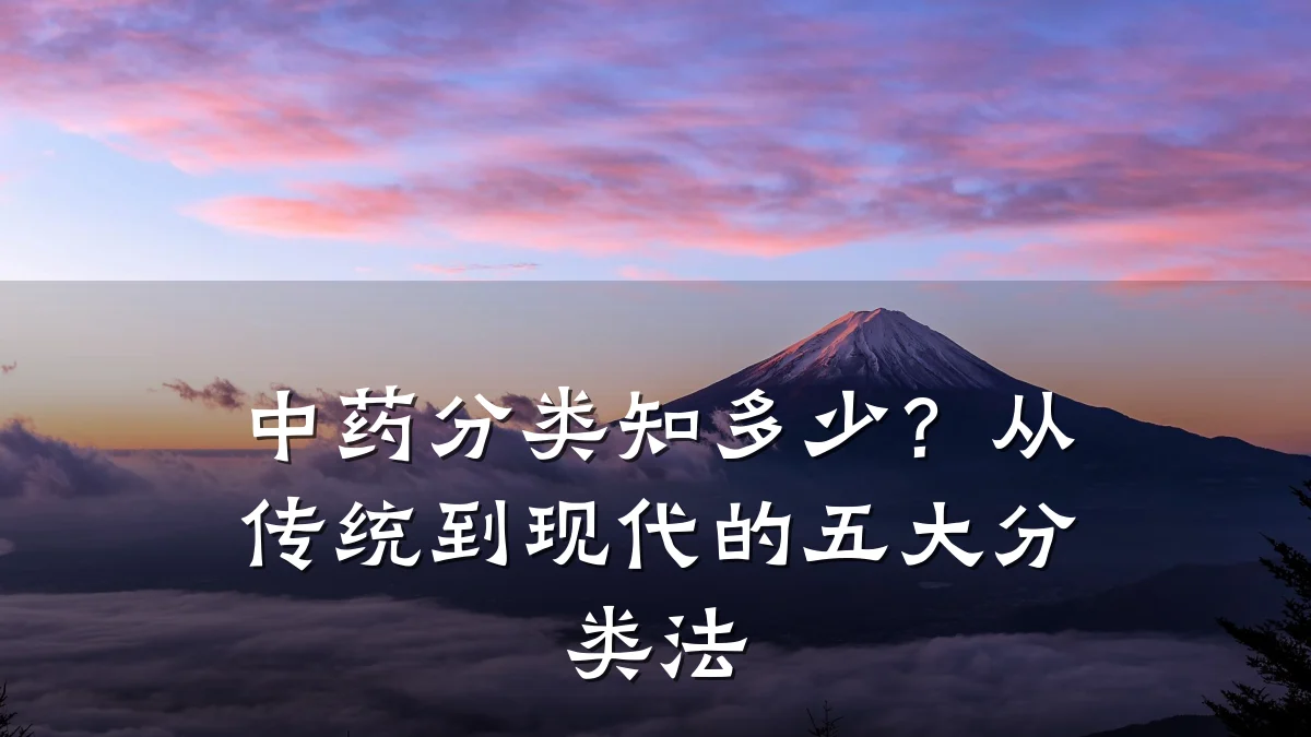 中药分类知多少?从传统到现代的五大分类法