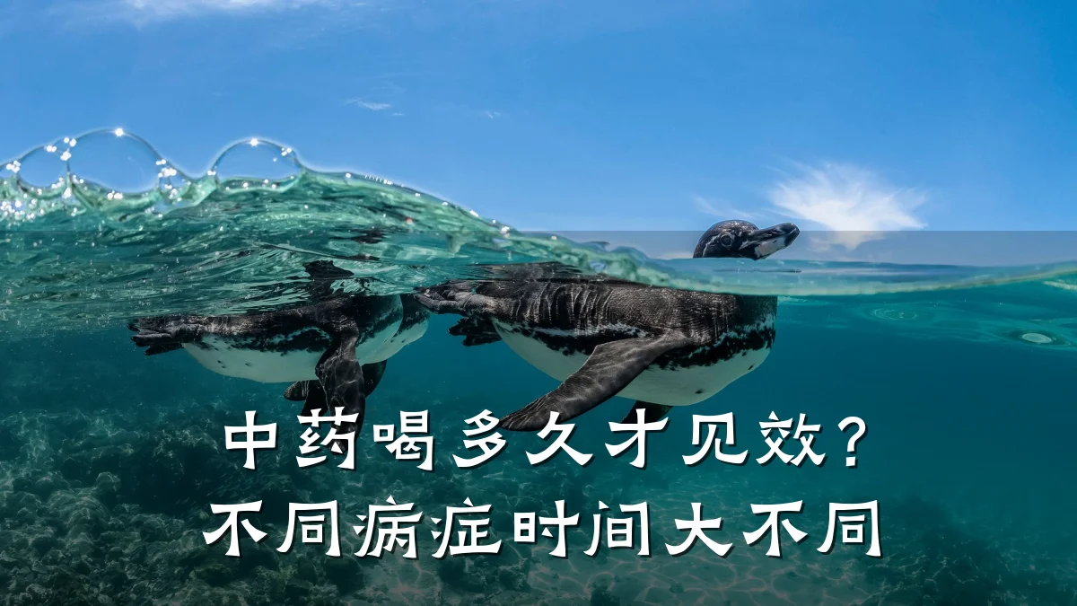 中药喝多久才见效?不同病症时间大不同