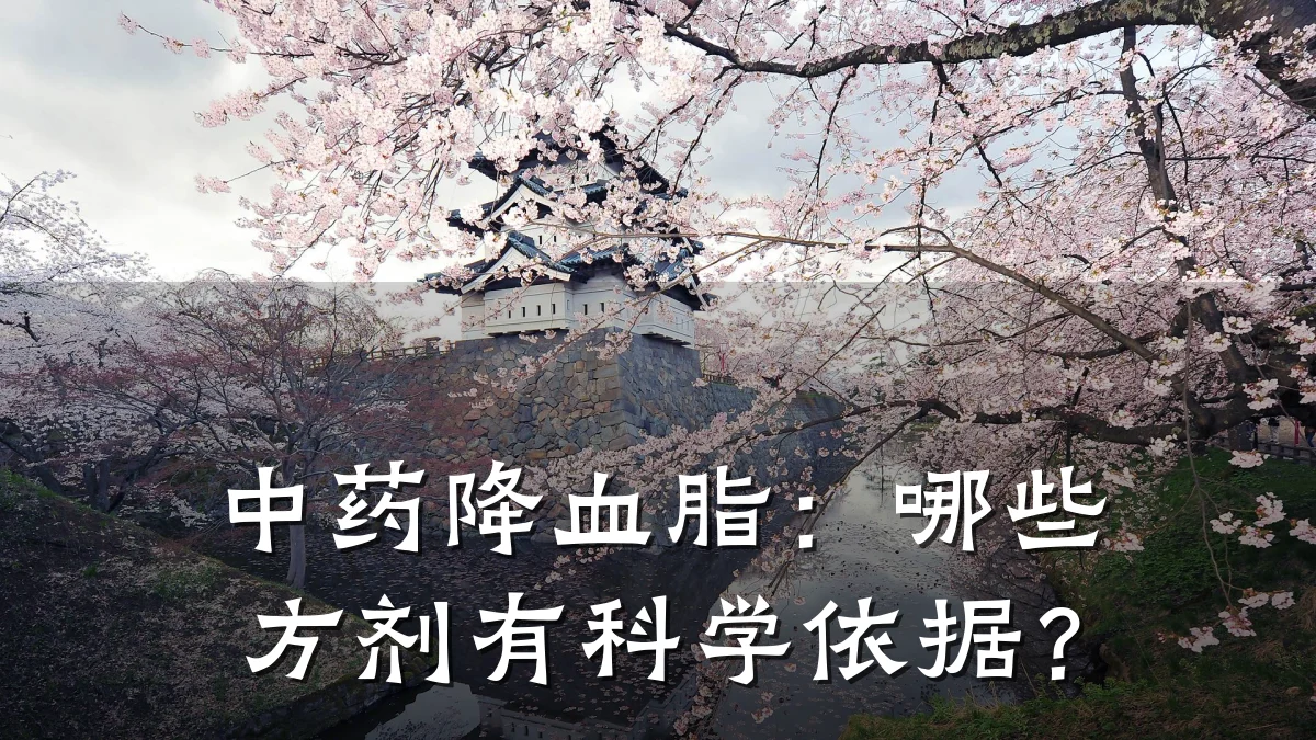 中药降血脂:哪些方剂有科学依据?