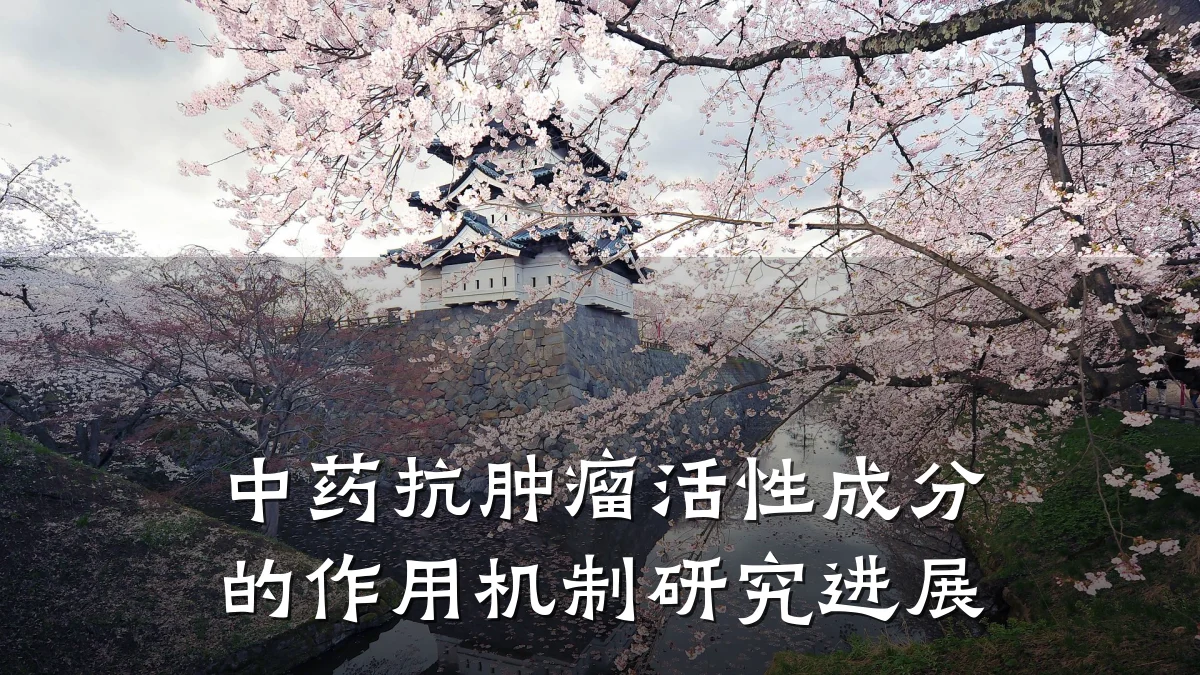 中药抗肿瘤活性成分的作用机制研究进展