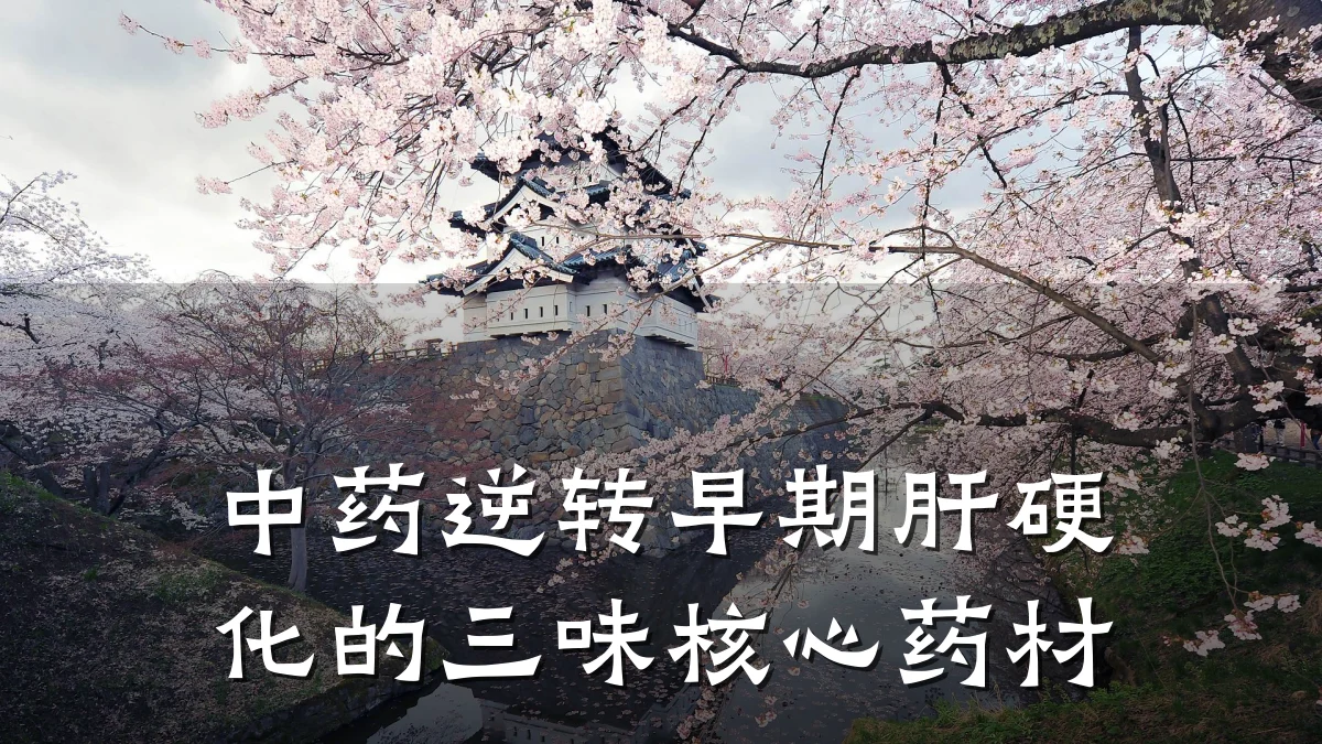 中药逆转早期肝硬化的三味核心药材
