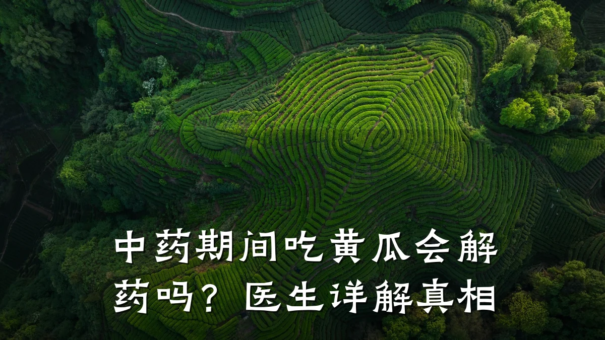 中药期间吃黄瓜会解药吗?医生详解真相