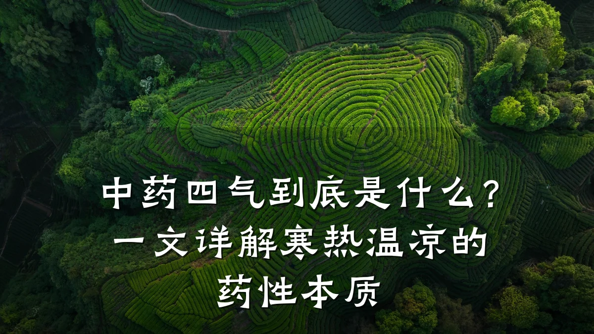 中药四气到底是什么?一文详解寒热温凉的药性本质