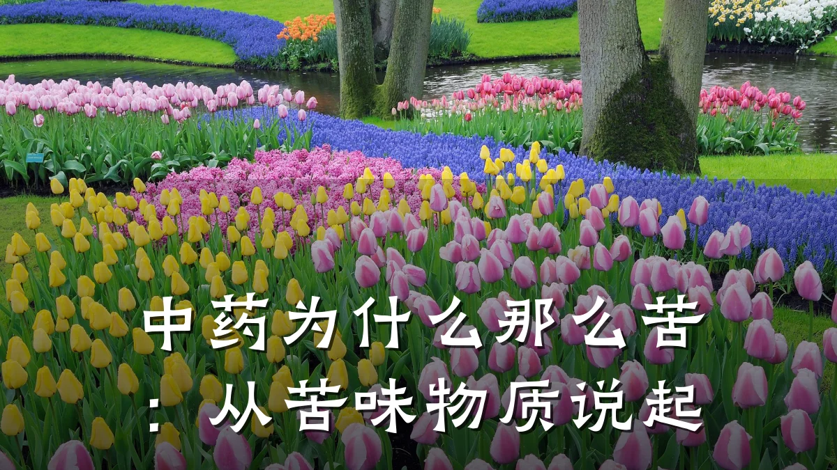 中药为什么那么苦:从苦味物质说起