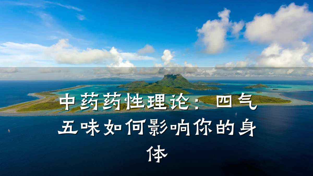中药药性理论:四气五味如何影响你的身体