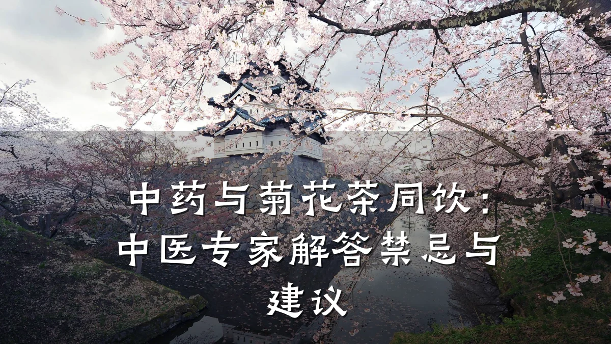 中药与菊花茶同饮：中医专家解答禁忌与建议