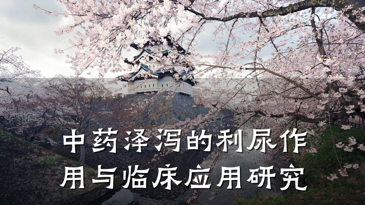 中药泽泻的利尿作用与临床应用研究