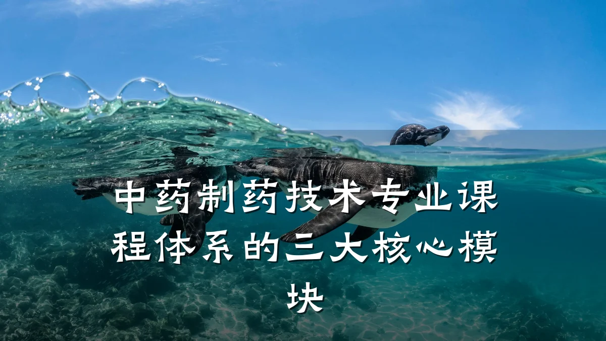 中药制药技术专业课程体系的三大核心模块