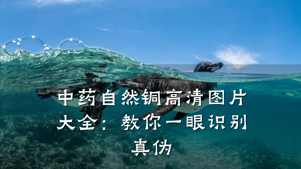 中药自然铜高清图片大全:教你一眼识别真伪