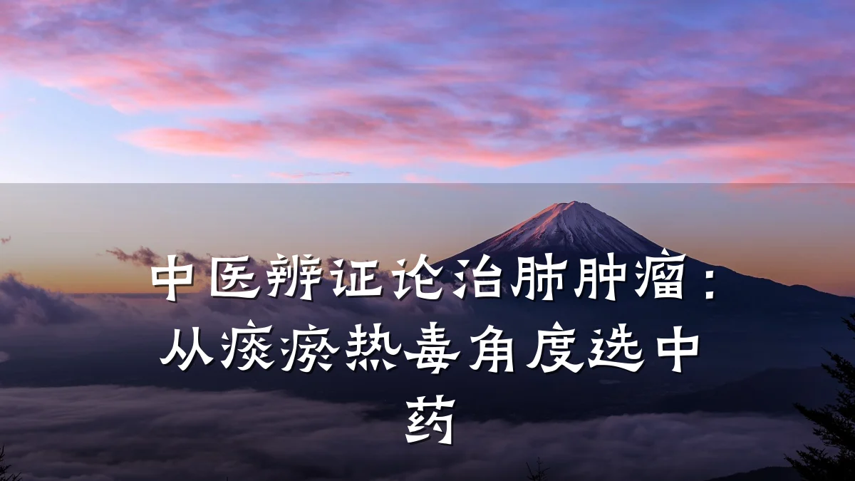 中医辨证论治肺肿瘤：从痰瘀热毒角度选中药