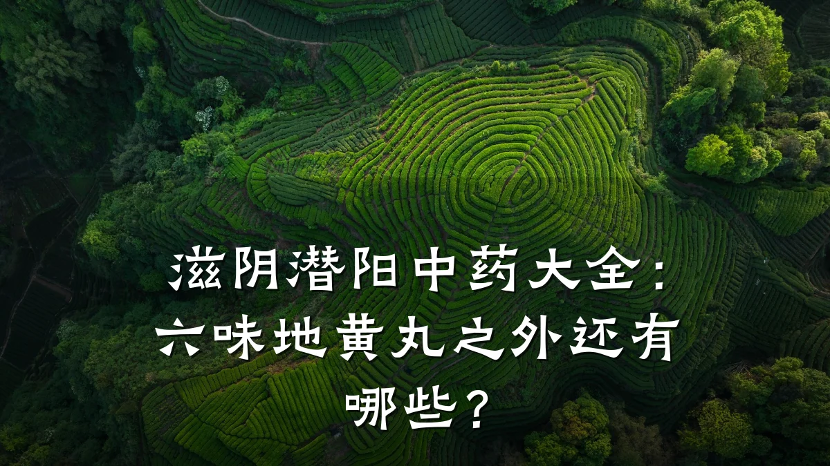 滋阴潜阳中药大全:六味地黄丸之外还有哪些?