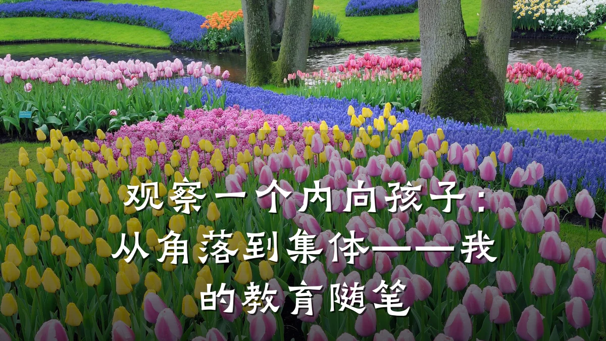 观察一个内向孩子：从角落到集体——我的教育随笔