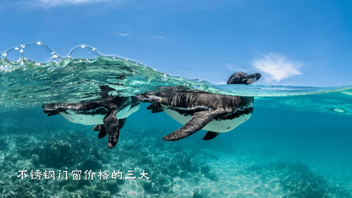 不锈钢门窗价格的三大