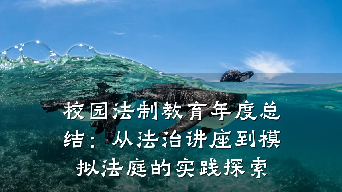 校园法制教育年度总结：从法治讲座到模拟法庭的实践探索