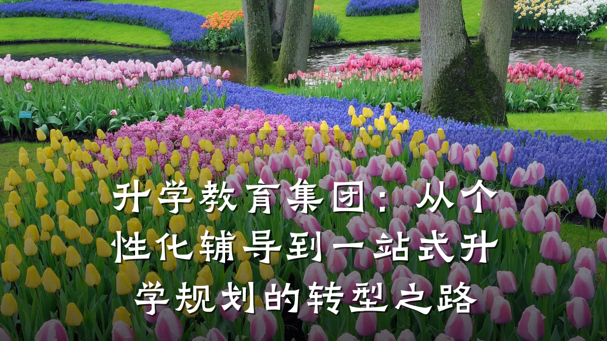 升学教育集团：从个性化辅导到一站式升学规划的转型之路