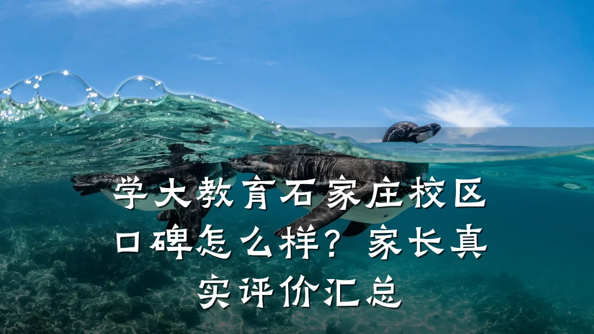学大教育石家庄校区口碑怎么样？家长真实评价汇总