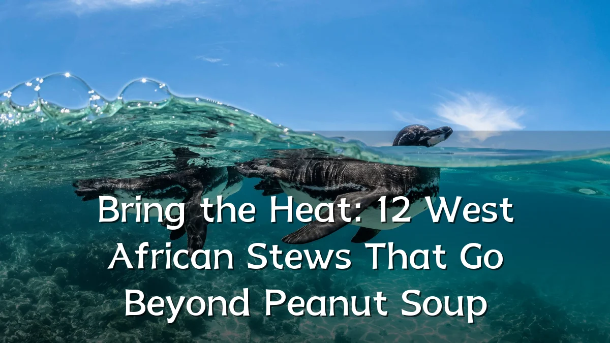 Bring the Heat: 12 West African Stews That Go Beyond Peanut Soup