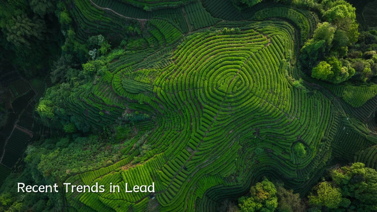 Recent Trends in Lead